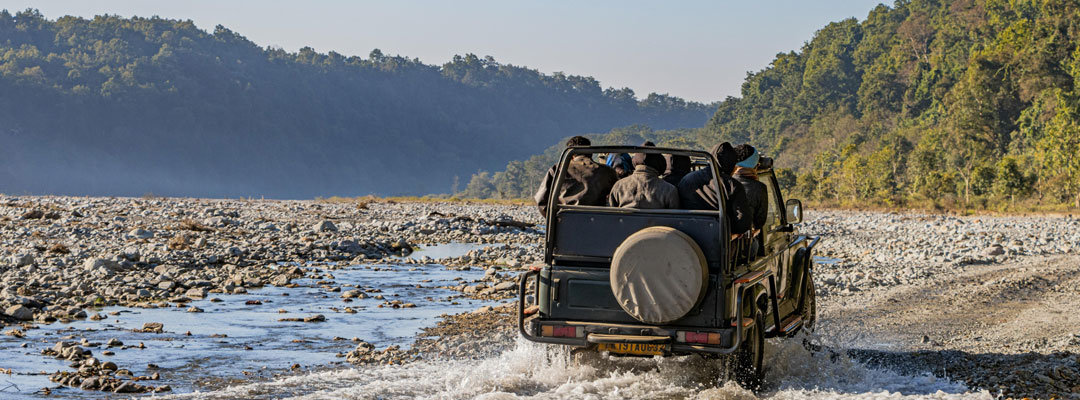 Jim Corbett National Park Experience