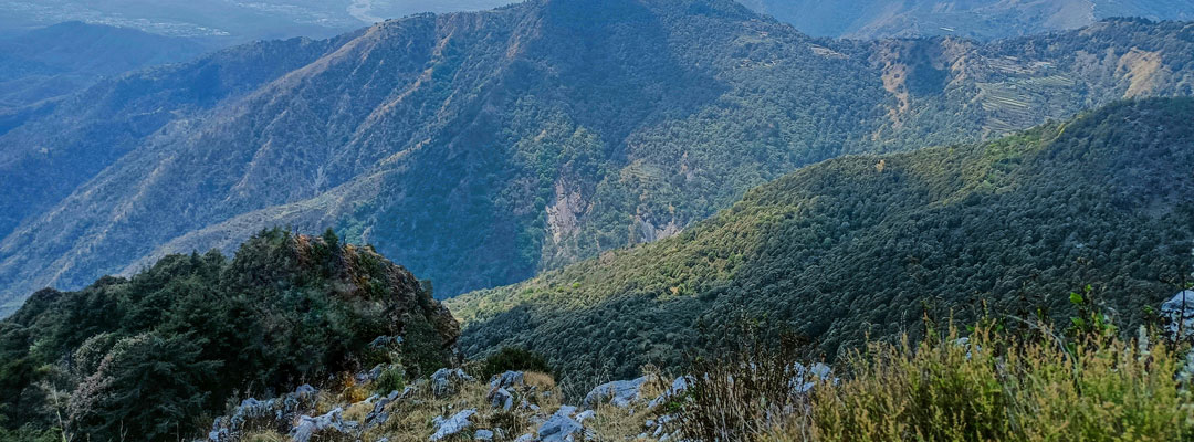 Hill Stations Near Delhi