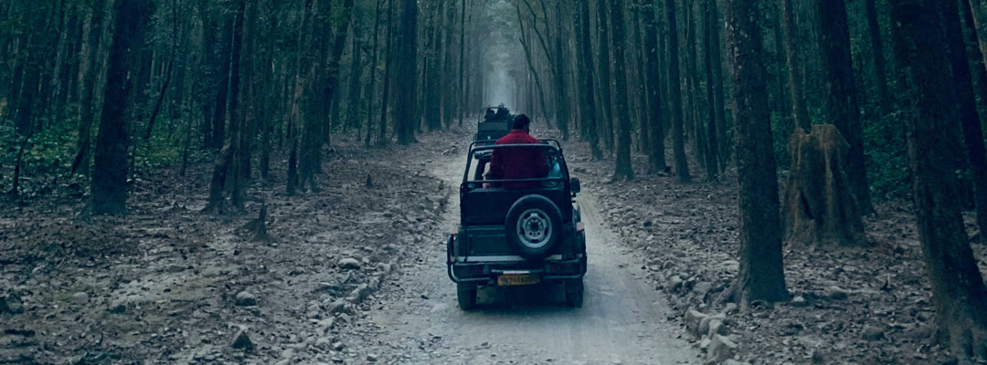 Where to Stay in Jim Corbett